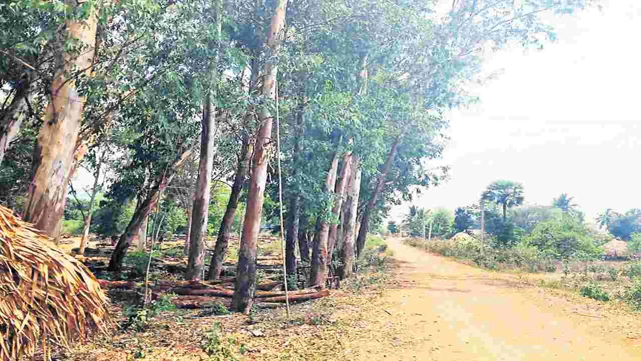 వేలం వేస్తే కోట్లు.. కానీ పట్టించుకోరు