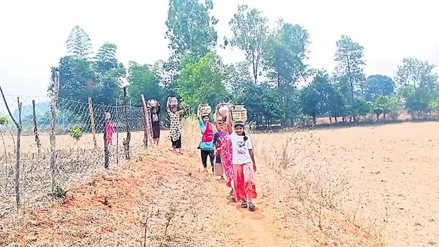 పెద్దాపుట్టులో దాహం కేకలు