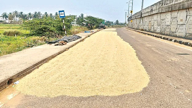 ధాన్యం రైతును దోచేస్తున్నారు 