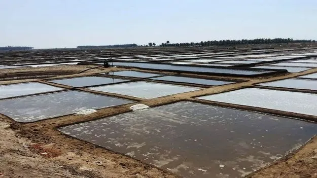 తెల్లబోతోంది!