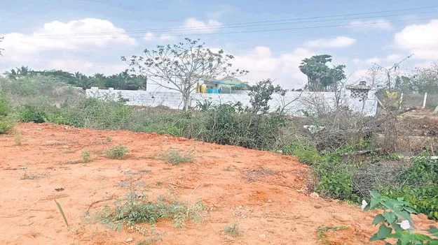 కబ్జాదారులకు అడ్డా