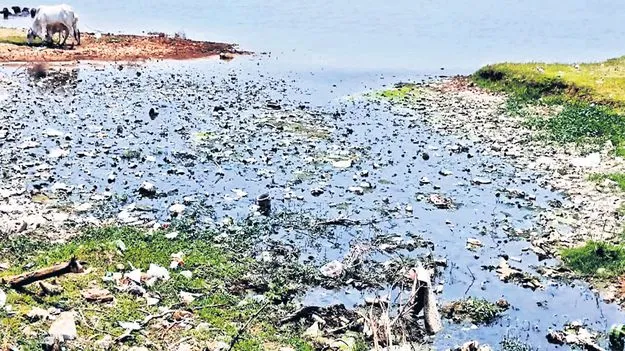 కాలుష్య కాసారం