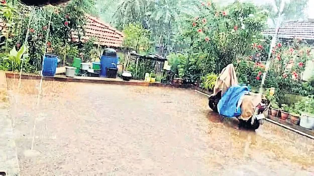 మన్యంలో భారీ వర్షం