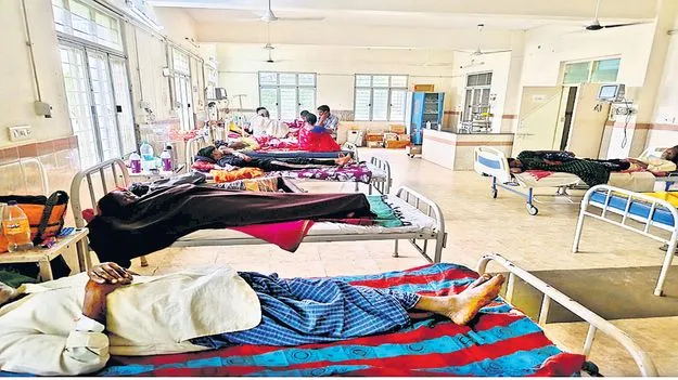  జ్వరాల విజృంభణ