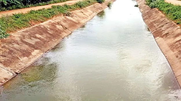 6 వరకు జీడీపీకి నీరు 