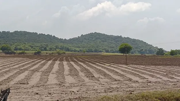 ఆ భూములు ఎవరివి..?