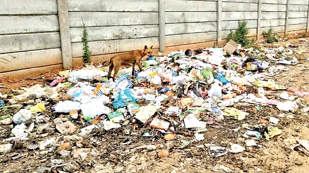 చెత్త.. కొత్తగా..