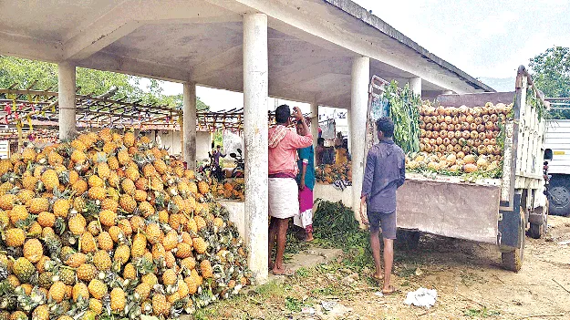 ధర లేక.. గిరిజన రైతులు దిగాలు