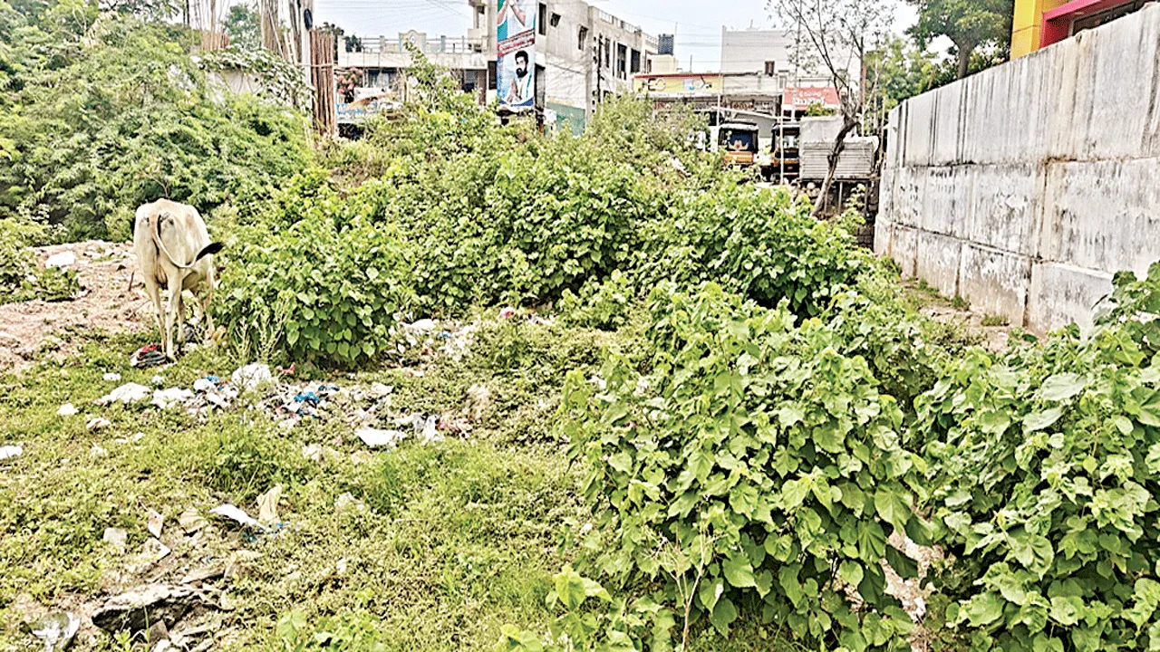 ఆసుపత్రిలో అపరిశుభ్రత