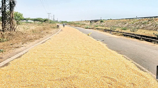 రోడ్డుపైన ధాన్యం ఆరబోత