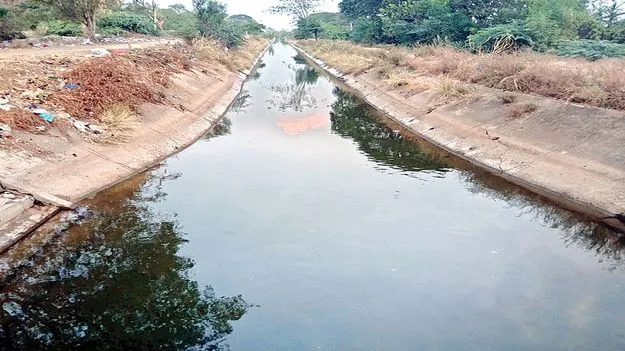 నిలిచిపోయిన ఎల్లెల్సీ నీరు 