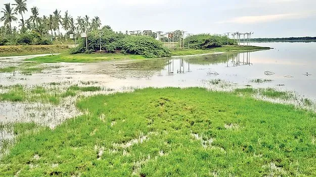 పక్షులకు నిధులొచ్చాయ్‌..!