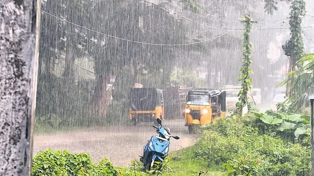 మన్యంలో వర్షం
