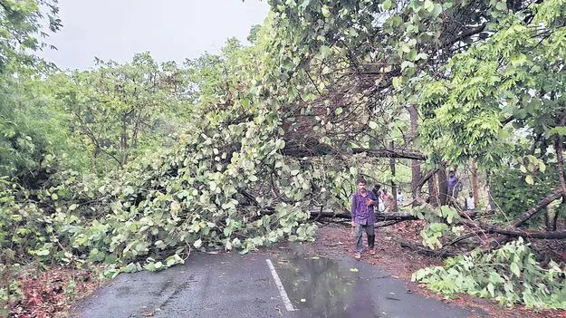 ఈదురుగాలులతో భారీ వర్షం