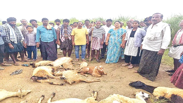  పిడుగుపాటుకు 32 మూగజీవాల మృతి