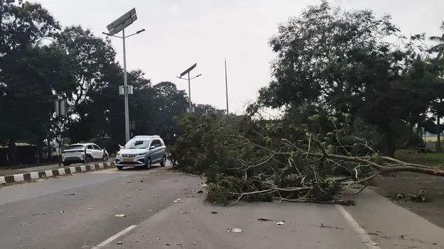 వణికించిన గాలులు