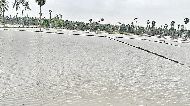 ముంపు పాట్లు