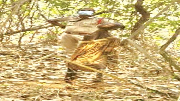 ఎముకల గూడుగా మారి...