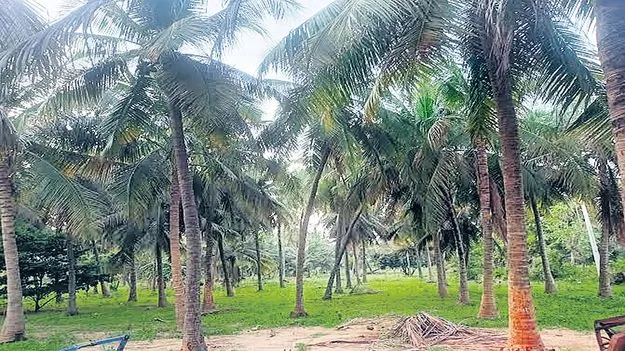 రాంబిల్లిలో  మరో డేటా సెంటర్‌
