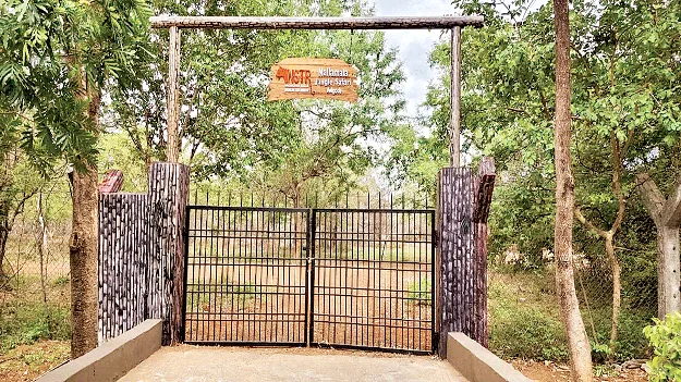 వాయిదా పడ్డ నల్లమల   జంగిల్‌ సఫారీ ప్రారంభం