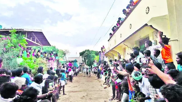 FESTIVAL: వైభవంగా ఏరువాక పౌర్ణమి
