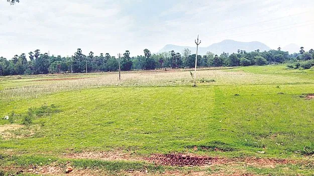 విత్తుదామా.. వేచి చూద్దామా