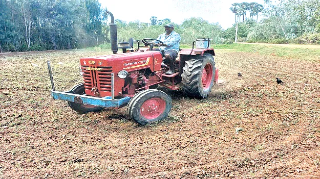 There are no seeds. how is that?విత్తనాల్లేవ్‌ ఎలా?