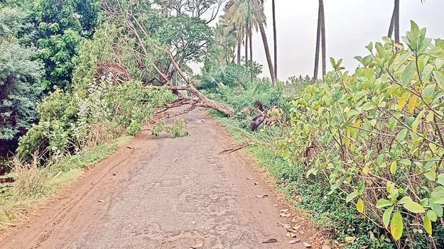 ఈడ్చి కొట్టింది..!