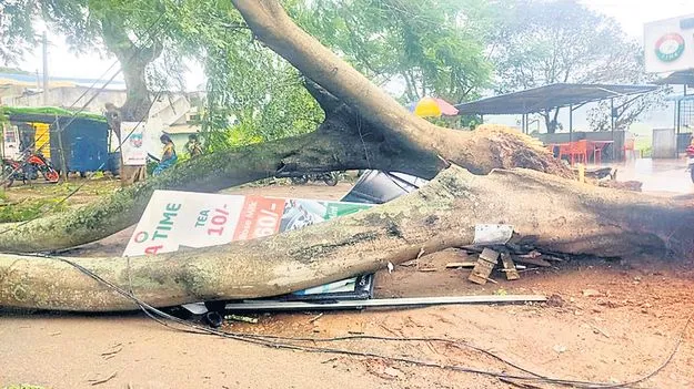 ఈదురుగాలుల బీభత్సం 