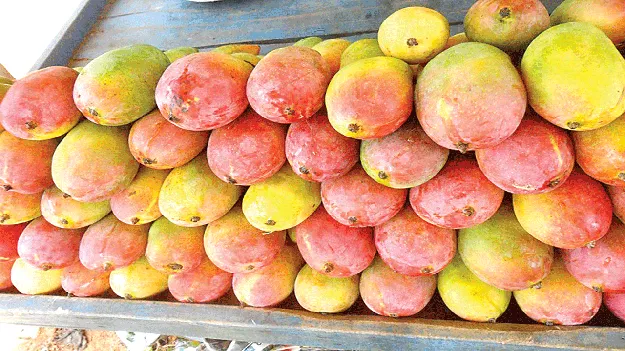 పండు అని తిన్నారో..
