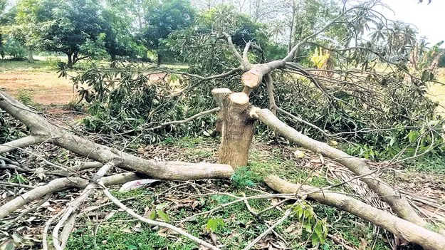 రియల్టర్‌ అరాచకం