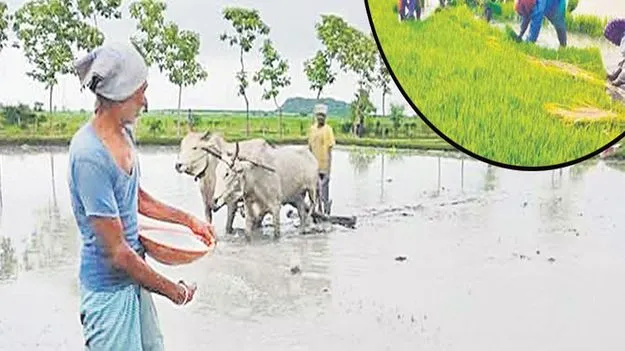 జాగ్రత్తగా ‘సాగు’దాం