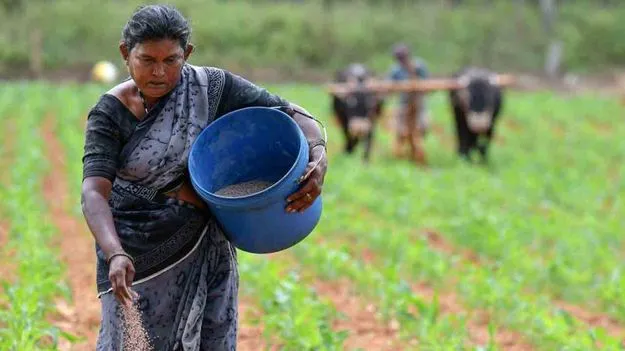 మన పొలాలకు పాకిన యుద్ధం!