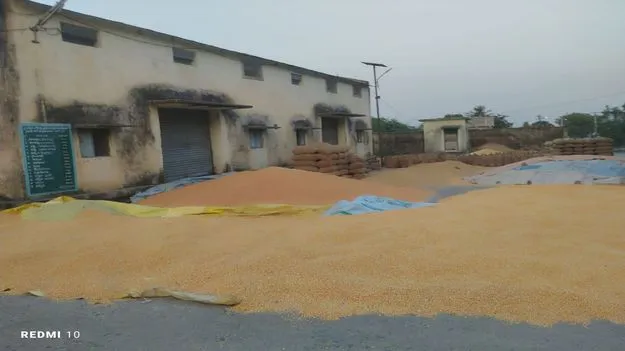  Karimnagar:   చొప్పదండిలో రికార్డు స్థాయిలో మక్కల కొనుగోళ్లు