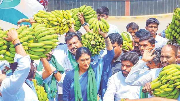 విజయమ్మ లేఖ సుప్రీం కోర్టు తీర్పుతో సమానం