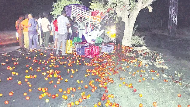 చెట్టును ఢీకొట్టిన వాహనం.. డ్రైవర్‌ మృతి 