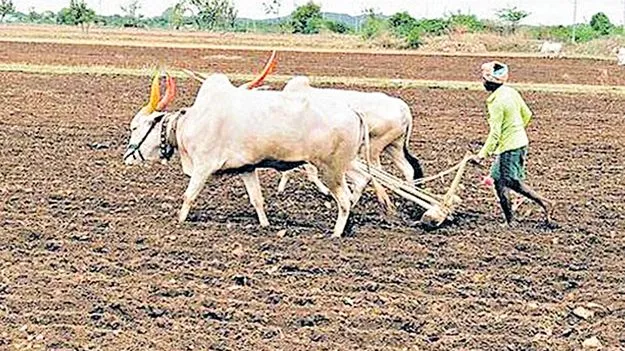 ఏరువాక వచ్చె.. వానే రాకపాయె! 