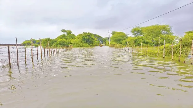 శాంతించిన గోదావరి