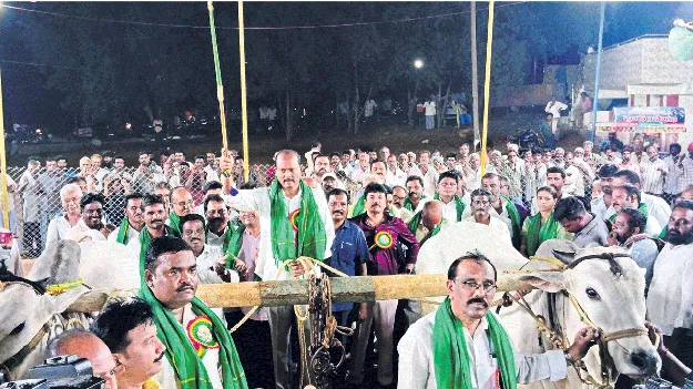 పౌరుషానికి ప్రతీక.. ఒంగోలు జాతి గిత్తలు