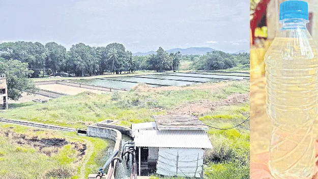 అధ్వానంగా ఎన్‌ఏపీ నిర్వహణ 