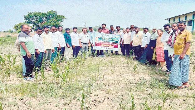 ఆరుతడి పంటలే సాగు చేయాలి 