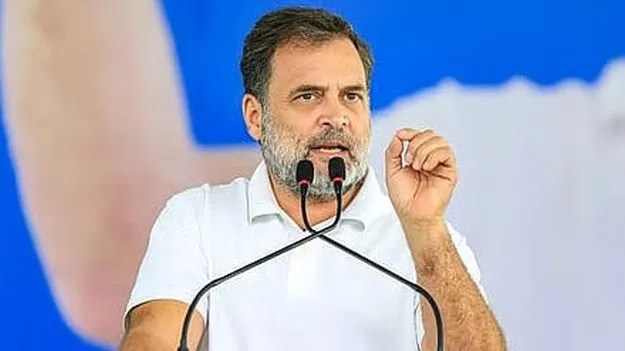 రాహుల్‌ ద్వంద్వ పౌరసత్వంపై ఆదేశాలను నిలిపివేసిన హైకోర్టు