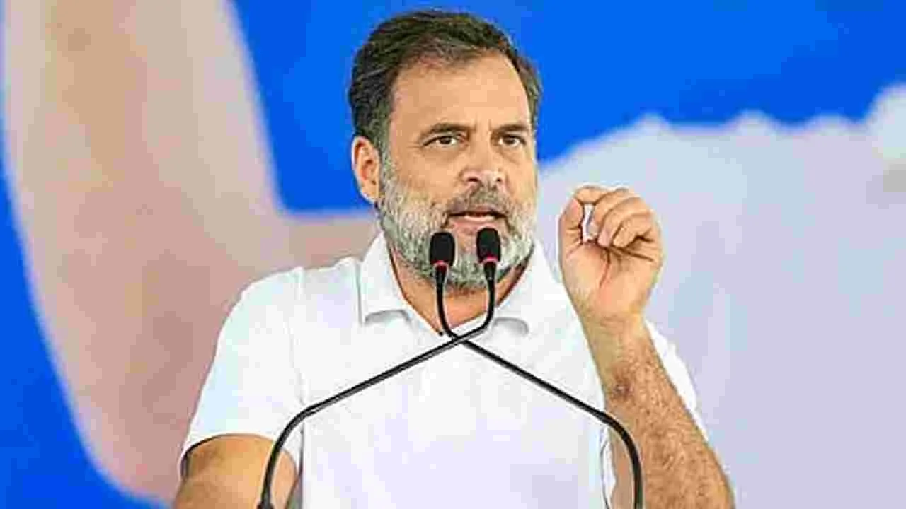 రాహుల్‌ ద్వంద్వ పౌరసత్వంపై ఆదేశాలను నిలిపివేసిన హైకోర్టు