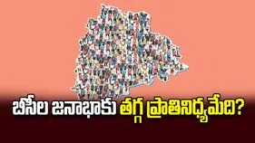 బీసీల జనాభాకు తగ్గ ప్రాతినిధ్యమేది? 