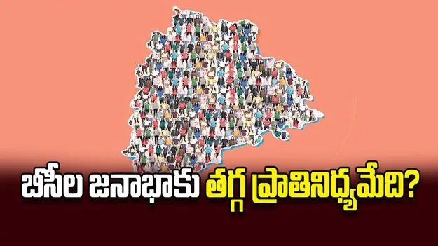 బీసీల జనాభాకు తగ్గ ప్రాతినిధ్యమేది? 