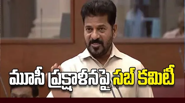 మూసీ ప్రక్షాళనపై సబ్‌ కమిటీ