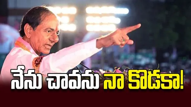 నేను చావను నా కొడకా!