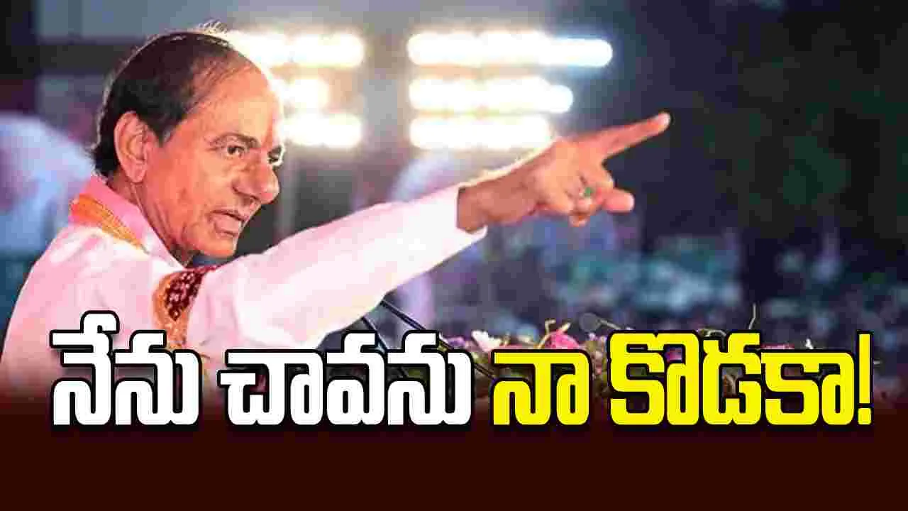 నేను చావను నా కొడకా!