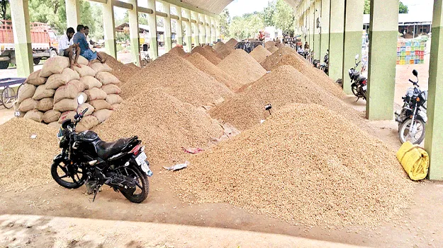 మార్కెట్‌ యార్డు కళకళ