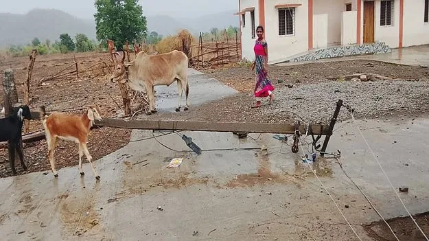 ఈదురుగాలులతో కూడిన వర్షం